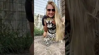 The gift the mother leopard left behind #leopard #animals #shorts #heartwarming #love #cute #usa