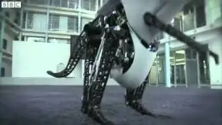 BBC News   Animal robotics  German engineers make bionic kangaroo