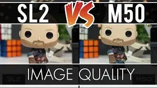 Canon SL2 vs M50 Image Quality Comparison - in Studio