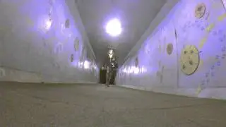 Outdoor Street Walking Transvestite Business Woman - Underpass Part 1