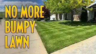 How to Level Your Bumpy Lawn