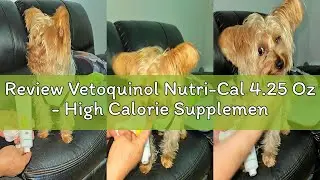 Review Vetoquinol Nutri-Cal 4.25 Oz - High Calorie Supplement for Cats and Dogs