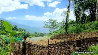 Make a fence to protect the radish garden, Kong Survival / Off Grid Living