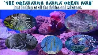 THE OCEANARIUM MANILA OCEAN PARK | JUST LOOKING AT ALL THE FISHES and WHATNOT.