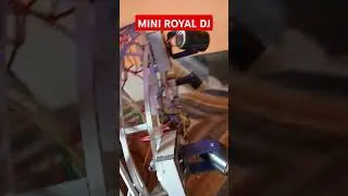 mini royal dj