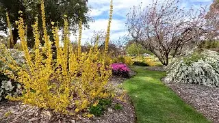 Cowra Japanese Garden