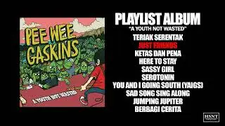 PEE WEE GASKINS - A YOUTH NOT WASTED
