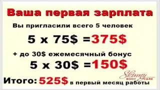 Короткая презентация SBC Leader пассив 20000 $