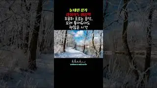 🎧눈 내린 강가처럼 고요한 감성 팝 음악 | 오래 틀어두기 좋은 겨울 플레이리스트 |눈오는날 듣기 좋은 음악/겨울 팝/힐링 팝 #겨울추억#감성음악#겨울 올드팝송#겨울감성#추억소환