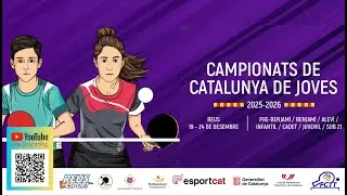 D6-TAULA 12 | 24/12 MATI
