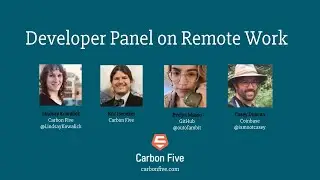 Developer Panel on Remote Work