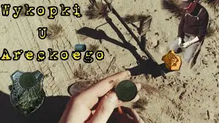 Wykopki na historycznych polach  #gold #metaldetecting #money #niemcy #prussian