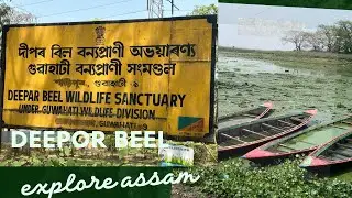 Deepor Beel The Birds Sanctuary
