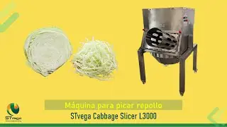 Máquina STvega Cabbage Slicer L3000 para picar repollos con el tronco previamente retirado