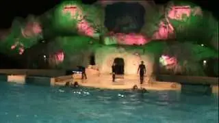 Dolphin Show, Dolfinarium Harderwijk (Full Show)