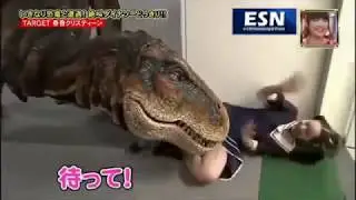 japanese dinosaur frank video