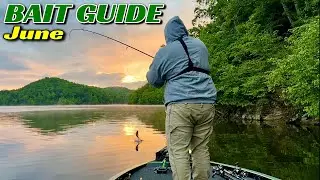 June&rsquo;s BEST Baits for Catching Bass Everywhere