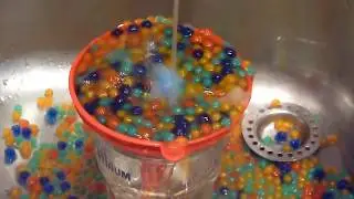 How Orbeez Experiment gone Wrong!