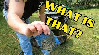 CLEANING THE PIG TROUGH AND MAITAINING AND ELECTRIC FENCE