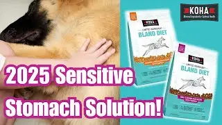 FIX YOUR DOGS SENSITIVE STOMACH IN 2025 | KOHA BLAND DIET DRY DOG FOOD