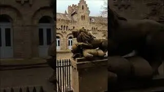 Lions Castle 🦁