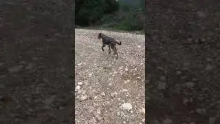 Cassandra gaining power
