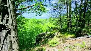 Nice view from Rattlesnake Mountain .#hiking #scene #view #metacomet #trail
