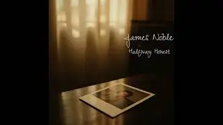 James Noble - Halfway Honest