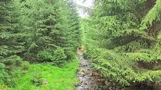 4K Mountain Stream – Relaxing Water Sounds for Sleep & Focus (60 FPS UHD)