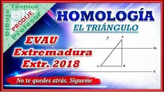 Homología. 19  EVAU EXTREMADURA EXTR  2018. TRIÁNGULO QUE CORTA A LA RECTA LÍMITE (RL)