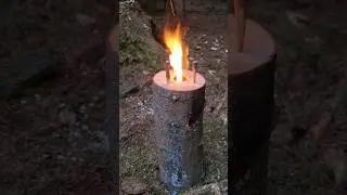 Great bushcraft project - sweden torch 🪵🔥🌲 #bushcraft #survival #camping #outdoors #forest