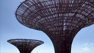 Entoto park: the terrace above #addisababa #ethiopia #ethiopian #entoto_park_addis_ababa