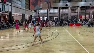 LaNicia Parker 2025: Adidas Palmetto Road Championship 17U  Earl Watson Academy #15