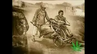 The Magic Weed - History Of Marijuana