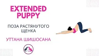 Уттана Шишосана: Растягивайтесь и Расслабьтесь в Позе Удлиненного Щенка | Yoga - Extended Puppy Pose