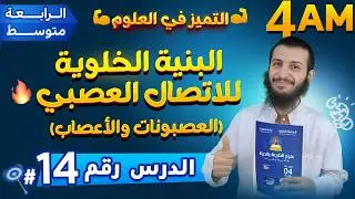 البنية الخلوية للاتصال العصبي (العصبونات والأعصاب) رابعة متوسط علوم طبيعية | الدرس 14