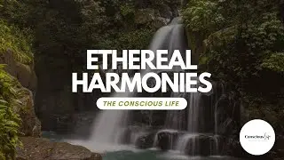 Ethereal Harmonies: Nurturing Melodies for Inner Peace 🍃