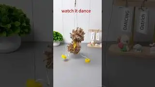 A Crazy Dancing Ostrich