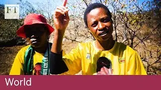 Zimbabwe election: a country divided