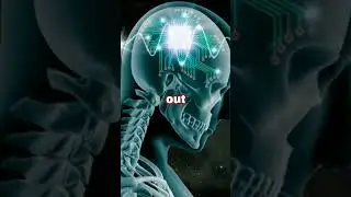 Scientists Prove That Telepathy Is Possible
