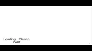 The Gay Video