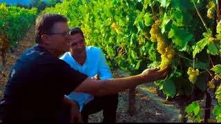 Les Vins Luc Pirlet - Pays d'Oc