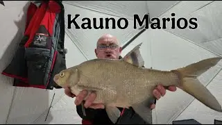 Kaip pagauti monstrą Kauno mariose TV+