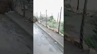 الخيرات ديال الشتاء طاحت الحمد الله تبارك الله ماشاء الله بتاريخ اليوم السبت 2025/12/27 🌧️🌩️☔⚡💧🌨️🤲🤲🤲