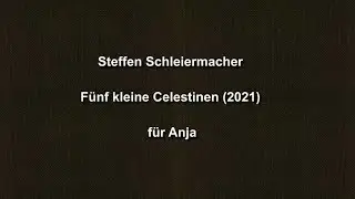Steffen Schleiermacher: Fünf kleine Celestinen (2021)