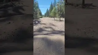 pump bike track oregon July 2022(3)