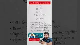 Level of Biological Organisation | cell | tissue | organ | organ system | organism #biology#viral#yt
