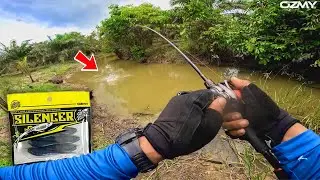 Casting Haruan : SpinnerBait + Super Baby Silencer