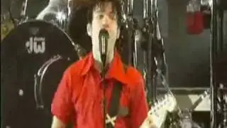 Fat Lip (& Pain for Pleasure)- Sum 41 *live*