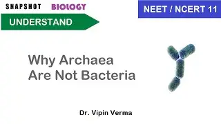 Why Archaea Are Not Bacteria (And Why That Matters) #neetbiology #biology